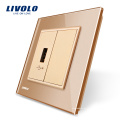 Livolo Gold Kristallglasscheibe 1 Gang USB Steckdose Steckdose VL-C791U-13